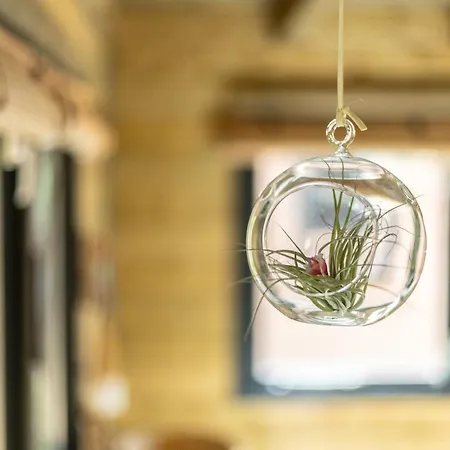 Prázdninový dům Amaryllis Soesterberg