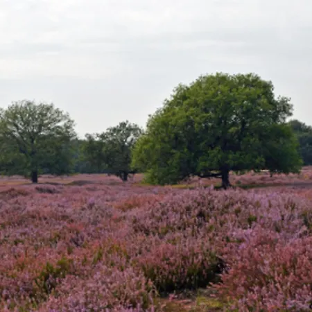 Amaryllis Prázdninový dům Soesterberg