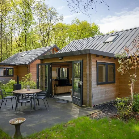 Amaryllis * Soesterberg