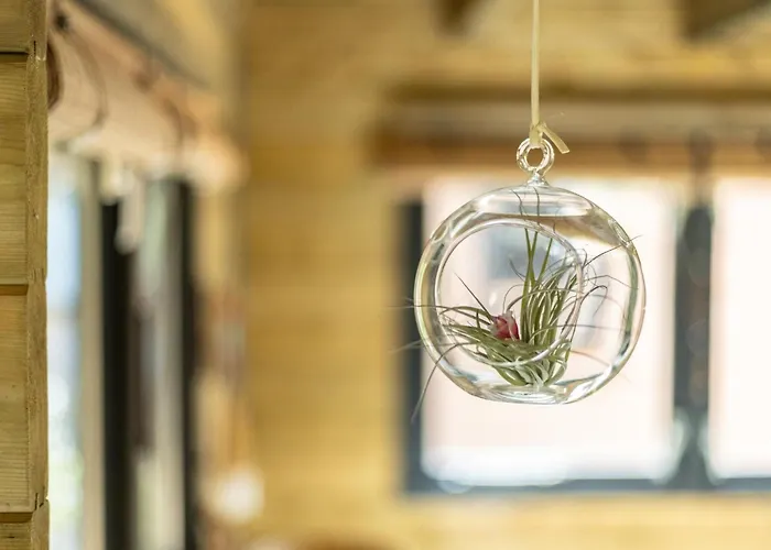 Ferienhaus Amaryllis Soesterberg