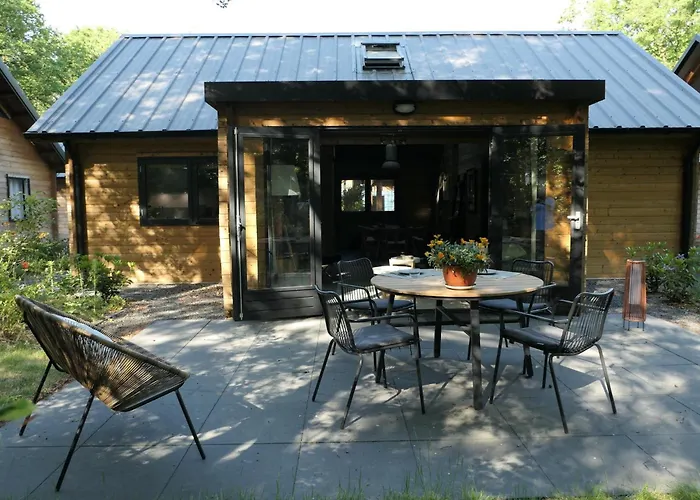 Amaryllis * Soesterberg