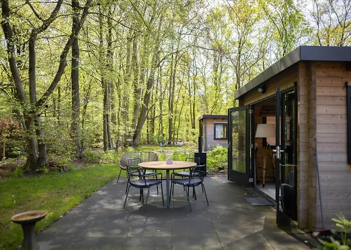 Amaryllis * Soesterberg