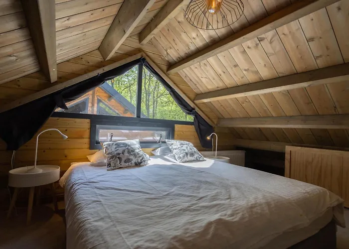 Amaryllis * Soesterberg