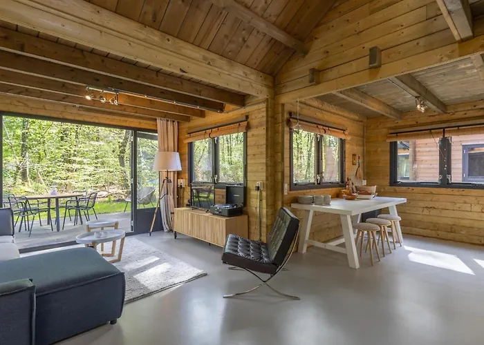 Amaryllis * Soesterberg